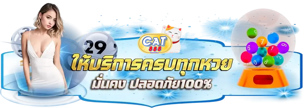 cat888