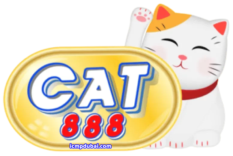 cat888
